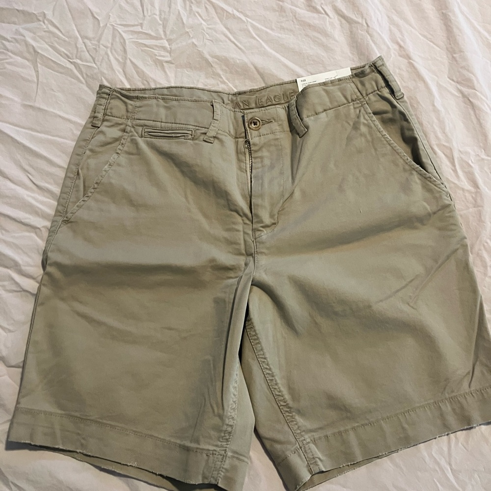 American Eagle Outfitters Tan Flat Front Men Shorts